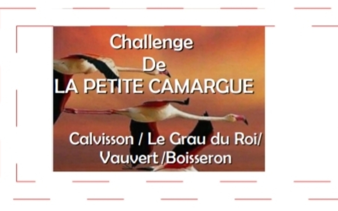 image - Challenge de la PETITE CAMARGUE