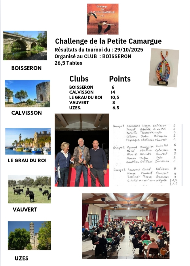 image - 1er tournoi du CHALLENGE DE LA PETITE CAMARGUE